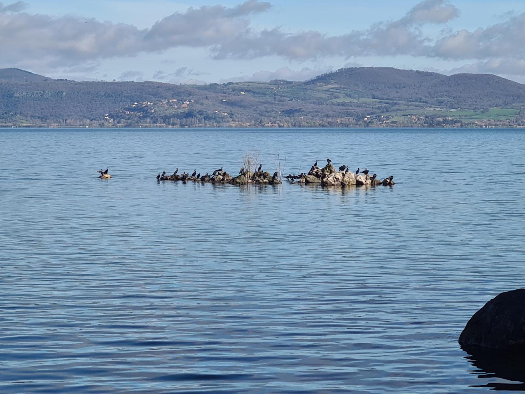 La Finestra Tra Le Stelle Apartment Anguillara Sabazia
